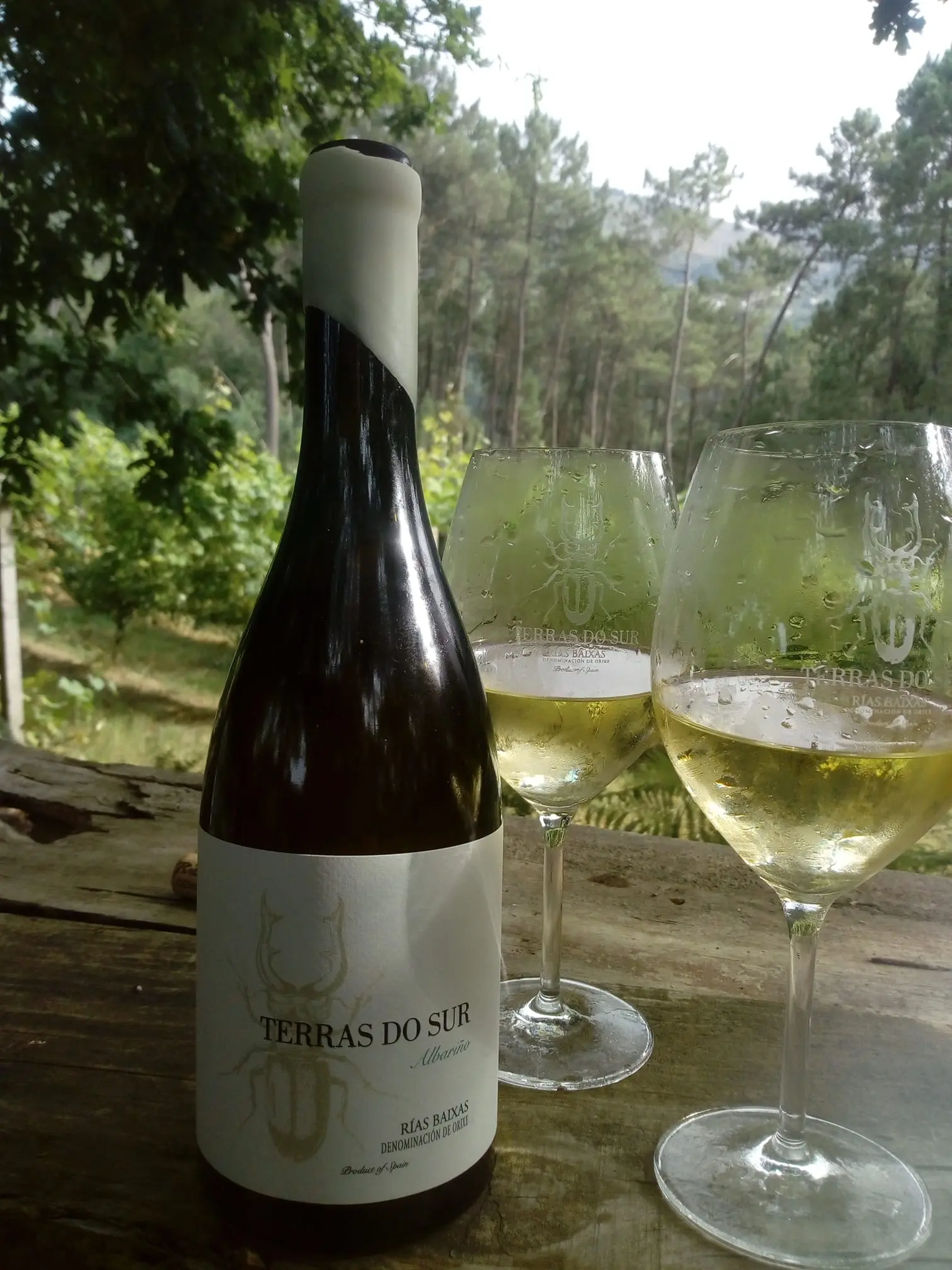 foto-frontal-de-vino